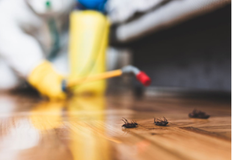 Kitchen Cleaning